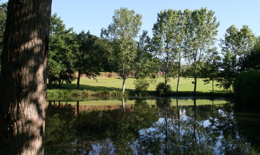 ArdenaisDomaine De Vilotte住宿加早餐旅馆 外观 照片