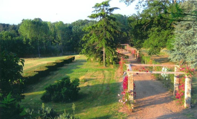 ArdenaisDomaine De Vilotte住宿加早餐旅馆 外观 照片